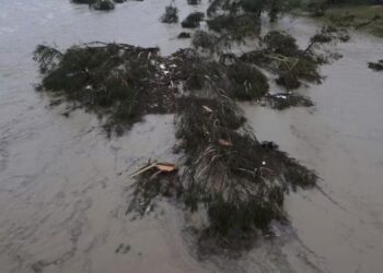 Hallan cuerpo de José Olvera, mexicano fallecido en inundaciones de Texas, aún falta el de Alicia Ramírez