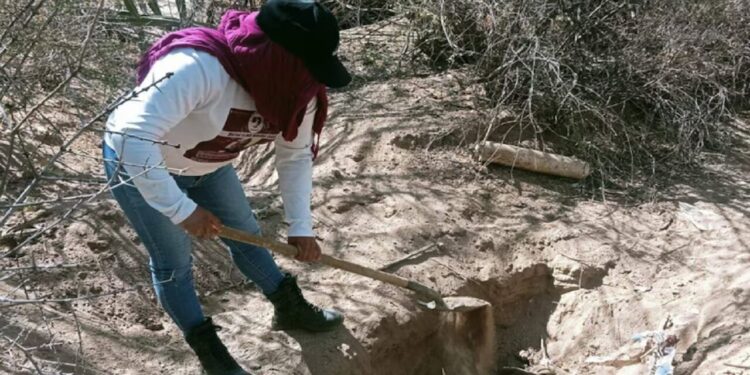 Gobierno de Sinaloa niega abandono de colectivos de búsqueda en Mazatlán: “Sí hay apoyo, aunque el Comité no ha sesionado”