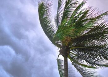 ¿Cuál es el pronóstico de lluvias para este sábado 19 de julio?