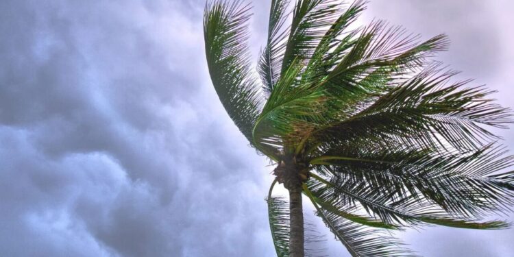 ¿Cuál es el pronóstico de lluvias para este sábado 19 de julio?