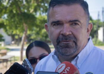 ¿Quieres podar un árbol que toca los cables de alta tensión?, marca 072 para canalizar el reporte y atienda CFE