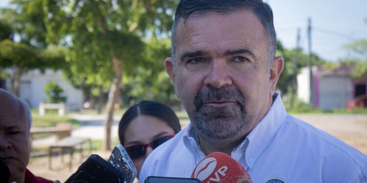 ¿Quieres podar un árbol que toca los cables de alta tensión?, marca 072 para canalizar el reporte y atienda CFE