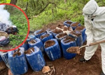 Desmantelan laboratorios clandestinos y aseguran 70 kilos de marihuana en Cosalá y Culiacán
