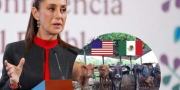 Sheinbaum califica de “Totalmente exagerada” la decisión de EE.UU. de volver a cerrar la frontera al ganado mexicano