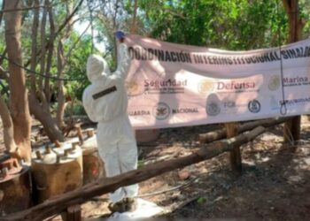 Desmantelan 6 laboratorios en Sinaloa y aseguran más de 4 toneladas de metanfetamina