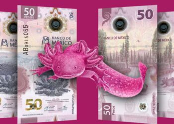 Mexicanos guardan más de 12 millones de pesos en billetes de 50 porque lo consideran “Bonito”