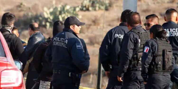 Policías en México: Van 232 asesinados en 2025; ONG advierte persistencia de condiciones laborales críticas