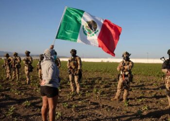 Sheinbaum confirma 355 mexicanos detenidos tras redadas en EE.UU.