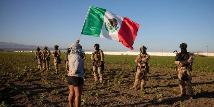 Sheinbaum confirma 355 mexicanos detenidos tras redadas en EE.UU.