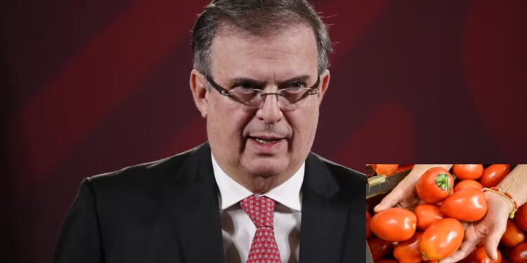 Ebrard confirma pago de arancel a EE.UU. por jitomate