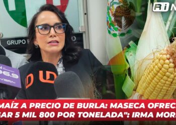 “Maíz a precio de burla: Maseca ofrece pagar 5 mil 800 por tonelada”: Irma Moreno