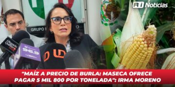 “Maíz a precio de burla: Maseca ofrece pagar 5 mil 800 por tonelada”: Irma Moreno