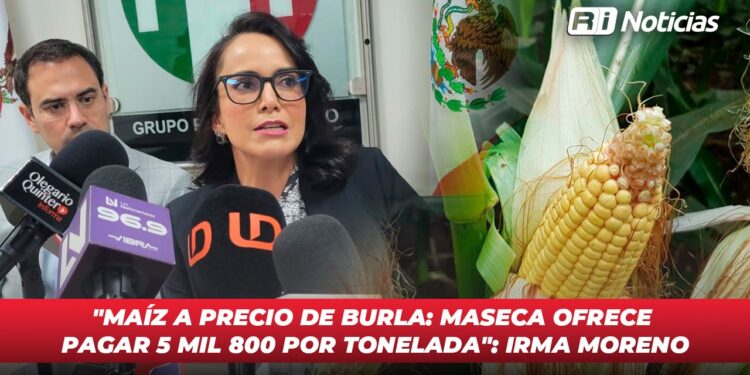 “Maíz a precio de burla: Maseca ofrece pagar 5 mil 800 por tonelada”: Irma Moreno