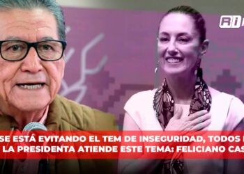 No se está evitando el tema de inseguridad. Todos los días la presidenta atiende este tema: Feliciano Castro