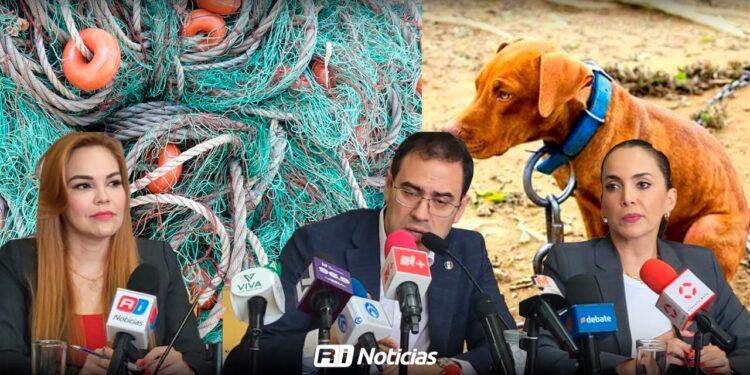 Redes fantasma y maltrato animal quedarían prohibidos en Sinaloa: Bernardino Antelo