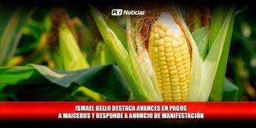 Ismael Bello destaca avances en pagos a maiceros y responde a anuncio de manifestación