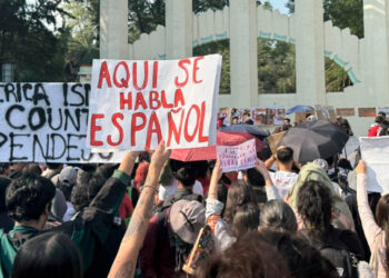 “Morena está detrás de la violencia en la marcha contra la gentrificación”: acusan en redes sociales