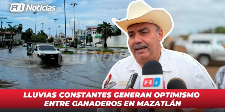 Lluvias constantes generan optimismo entre ganaderos en Mazatlán