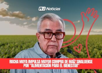 Rocha Moya impulsa mayor compra de maíz sinaloense por “Alimentación para el Bienestar”