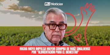 Rocha Moya impulsa mayor compra de maíz sinaloense por “Alimentación para el Bienestar”