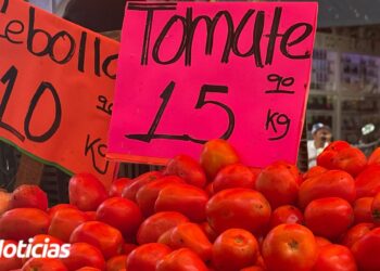 El precio del tomate arranca esta semana con un costo promedio de 15 pesos el kilo