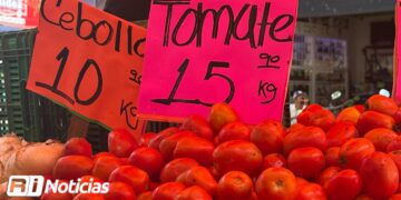 El precio del tomate arranca esta semana con un costo promedio de 15 pesos el kilo