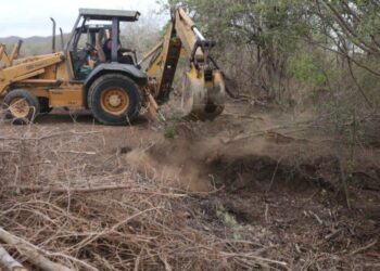 Ganaderos esperan que esta semana concluya la construcción de 25 bordos y abrevaderos al norte de Mazatlán