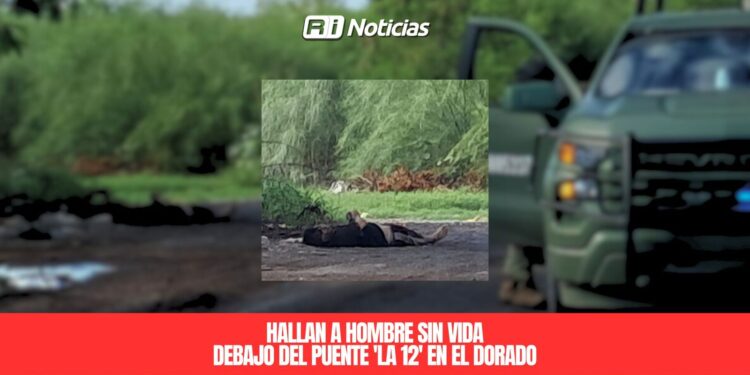 Hallan a hombre sin vida debajo del puente ‘La 12’ en Eldorado