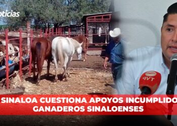 PRI Sinaloa cuestiona apoyos incumplidos a ganaderos sinaloenses