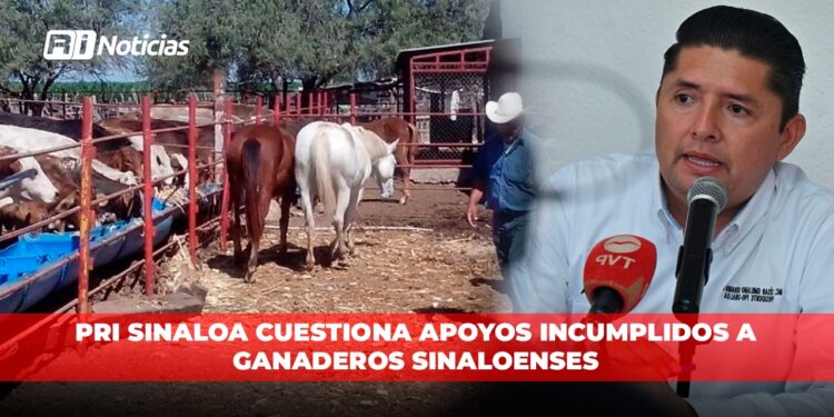 PRI Sinaloa cuestiona apoyos incumplidos a ganaderos sinaloenses