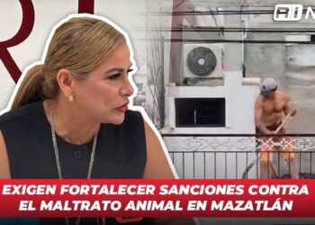 Exigen fortalecer sanciones contra el maltrato animal en Mazatlán