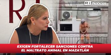 Exigen fortalecer sanciones contra el maltrato animal en Mazatlán