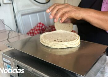 Tortilleros denuncian que en Mazatlán no hay piso parejo, reportan más de 100 negocios informales