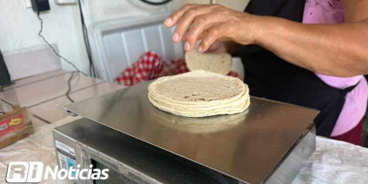 Tortilleros denuncian que en Mazatlán no hay piso parejo, reportan más de 100 negocios informales