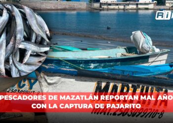 Pescadores de Mazatlán reportan mal año con la captura de pajarito