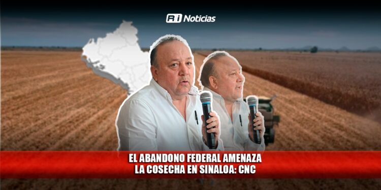 El abandono federal amenaza la cosecha en Sinaloa: CNC