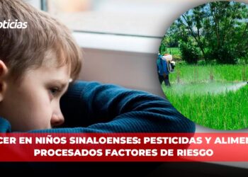 Cáncer en niños sinaloenses: Pesticidas y alimentos procesados factores de riesgo