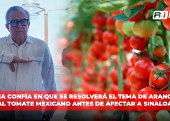 Rocha confía en que se resolverá el tema de aranceles al tomate mexicano antes de afectar a Sinaloa