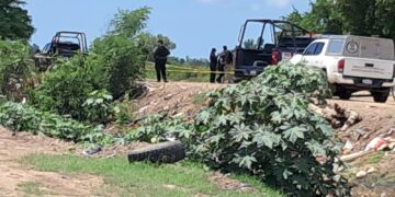 Localizan a joven sin vida en camino de terracería en ejido El Batallón, Navolato