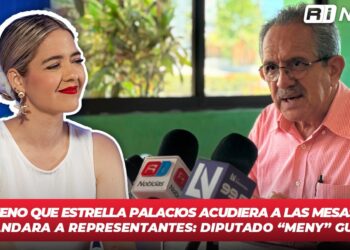 Sería bueno que Estrella Palacios acudiera a las Mesas de Paz y no mandara a representantes: Diputado “Meny” Guerrero