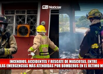 Incendios, accidentes y rescate de mascotas, entre las emergencias más atendidas por Bomberos en el último mes