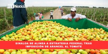 Sinaloa se alinea a estrategia federal tras imposición de arancel al tomate