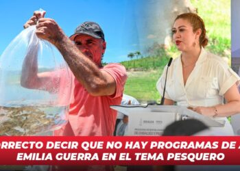 Es incorrecto decir que no hay programas de apoyo: Emilia Guerra en el tema pesquero