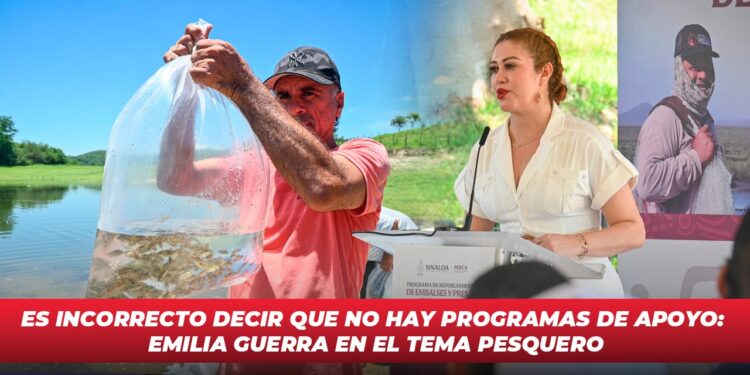 Es incorrecto decir que no hay programas de apoyo: Emilia Guerra en el tema pesquero
