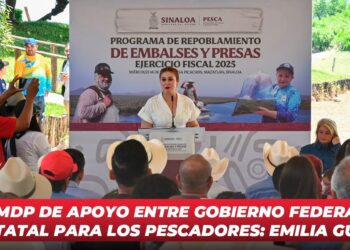 126 mdp de apoyo entre gobierno federal y el estatal para los pescadores: Emilia Guerra