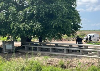 Localizan a hombre asesinado a balazos en Navolato