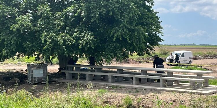 Localizan a hombre asesinado a balazos en Navolato