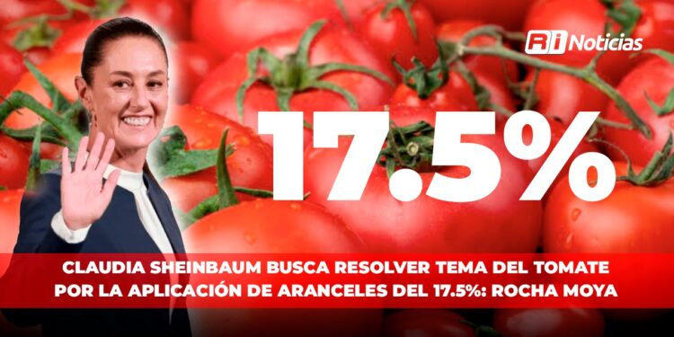 Claudia Sheinbaum busca resolver tema del tomate por la aplicación de aranceles del 17.5%: Rocha Moya