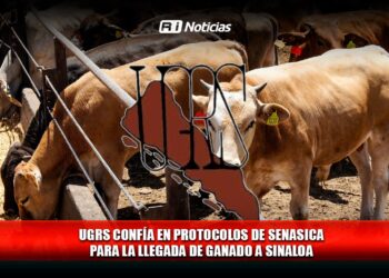 UGRS confía en protocolos de SENASICA para la llegada de ganado a Sinaloa
