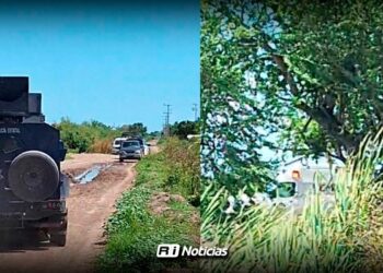 Encuentran ejecutado a hombre reportado como desaparecido en Navolato